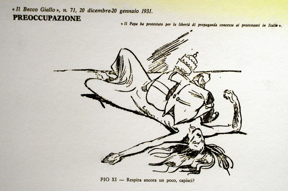 Asini, Muli, Corvi, Maiali_098.JPG